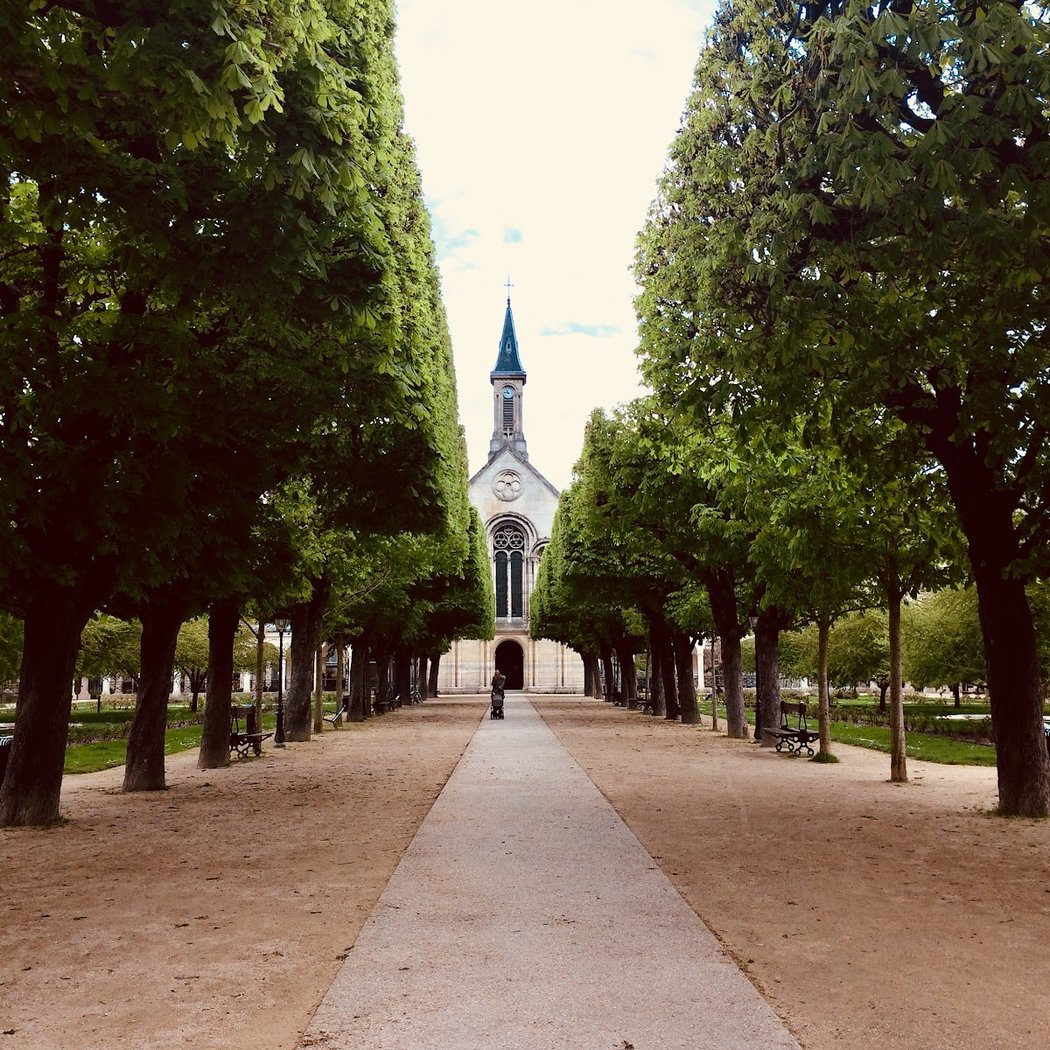 Jardin de la Cour d'Honneur / Roseraie 1